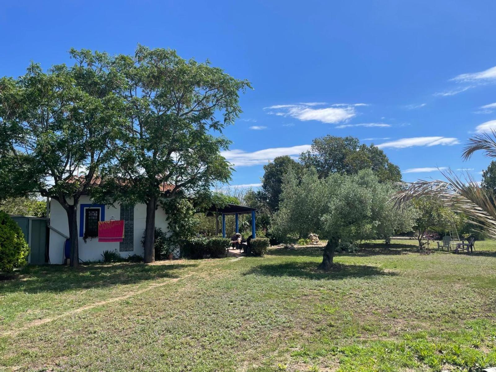 Masia 'oasi Vallmoll' Сasa de vacaciones
